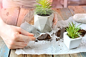 Home plant transportation background. Home gardening concept. Gardener`s hands with substrate.