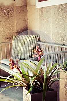 Home plants with cosy sofa and pillow, vintage style