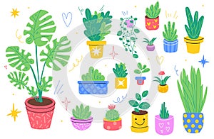 Home plants. Different breeds houseplants, color pots, floriculture and gardening, cozy indoor hobby, doodle style palms