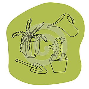 Home plants in flower pots with watering can and shovel. Hand drawn outline vector decembrist and cactus succulent on green