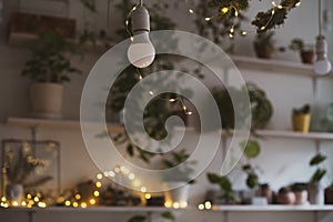 Home plants in pots in the interior of blur at night with light garlands. cozy christmas atmosphere in retro, vintage