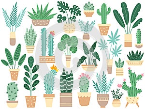 Home plants in pots. Nature houseplants, decoration potted houseplant and flower plant planting in pot vector isolated