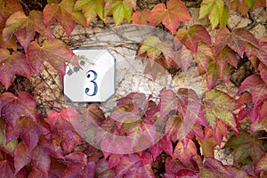 Home plaque sorrounded by colorful plant