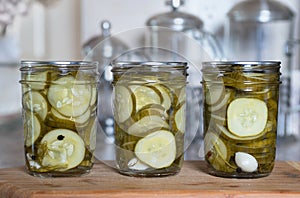 Home Preserved Dill Pickle Slices