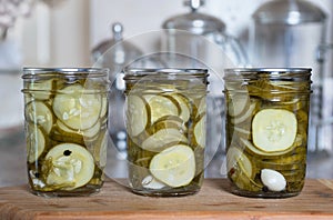 Home Preserved Dill Pickle Slices photo