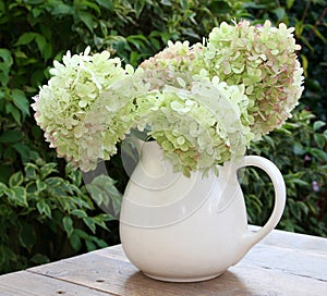 Home related, a vase with fresh Hortensia flowers, Netherlands