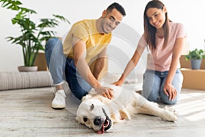 Home relocation. Positive young multiracial couple stroking their dog in new home on moving day, selective focus