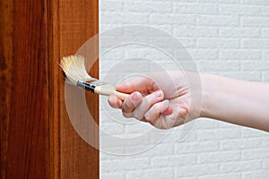 Home repair. Paint brush in the hand of a caucasian girl.