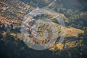 Home on rice terraces beautiful landscape