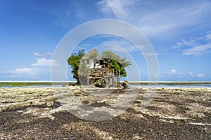 Home on the rock at low tide on the island of Zanzibar, Tanzania, east Africa