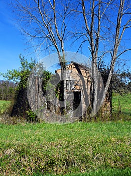 Home in Ruins and Imprisoned by Trees