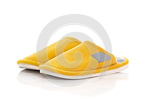 Home slippers  on white background