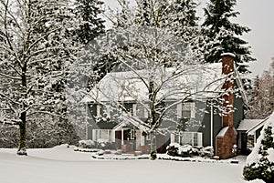 Home with snow and trees in winter