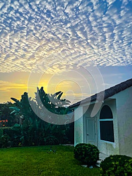 sunset and pretty clouds in the back yard