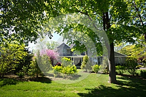 Home Surrounded by Trees photo