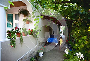 Home with vine alley