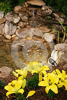 Home Water Feature