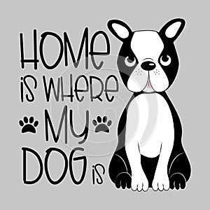 Home is where my dog is- positive saying text, with cute Boston Terrier on gray backgrund.