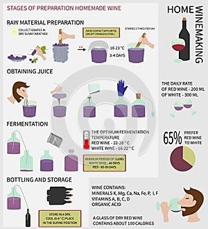 Home winemaking. Wine from grapes. Infographics.