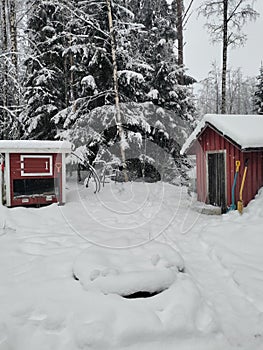 Home yard buried under snow in Finland.