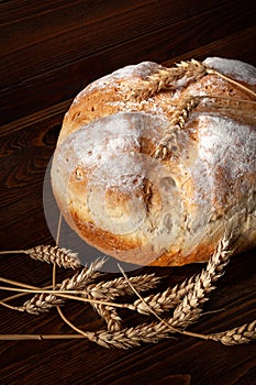 Homebaked bread. Close-up of a loaf of warm fresh peasant bread and wheat spikelets on a wooden background