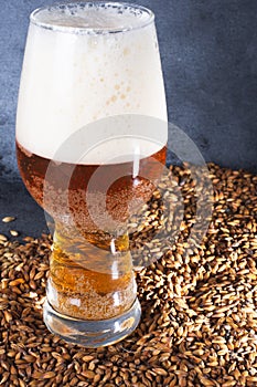 Homebrew blonde pint on pislner malt grain