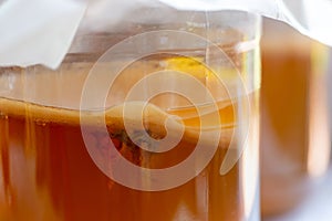 Homebrew fermented drink Kombucha in a glass jar, Kombucha SCOBY