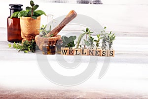 Homegrown and aromatic herbs with rosemary and basil. Wellness sign with wooden cubes