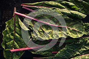 Homegrown chard leaves harvest local garden