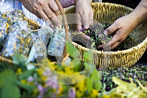 Homegrown dry herbs in the basket