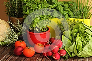 Homegrown herbs and vegetables photo