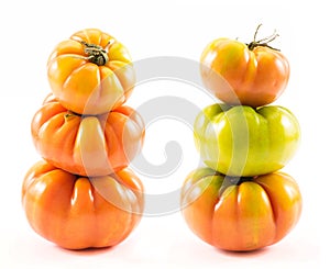 Homegrown tomatoes (Solanum lycopersicum)