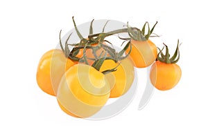 Homegrown Yellow Tomato On Vine Isolated