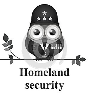 Homeland security