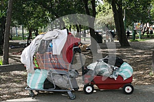 Homeless cart and wagon