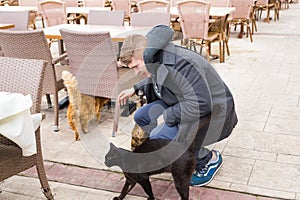 Homeless cat, pet and animals concept - Man stroking cats