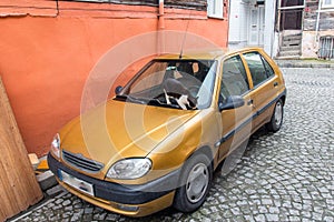 A homeless cat sits on the hood of a parked car on Istanbul Street. Turkey