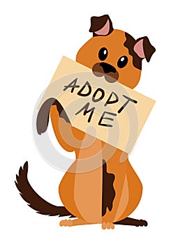 Homeless dog with poster adopt me isolated