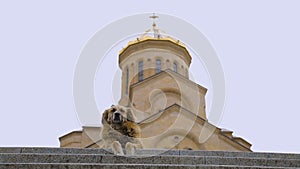 Homeless dog sitting against church background, concept of charity, benevolence