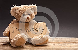 Homeless hungry child concept. Teddy bear sad, holding a cardboard sign, text hungry