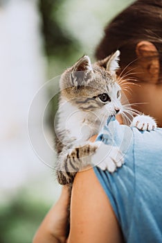 Homeless kitten in the hands of a child. The concept of pets, friendship, trust, love and lifestyle