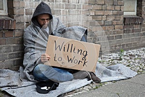 Homeless Man Holding Cardboard With Text Willing To Work