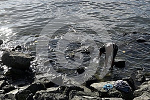 Homeless Mature woman bathing on rocky ocean beach using dipper. silhouettes