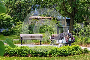 Homeless person with belongings piled on shopping cart sleeping on a bench in a beautiful city park