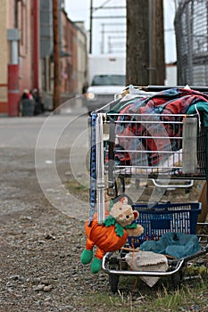 Homeless shopping cart