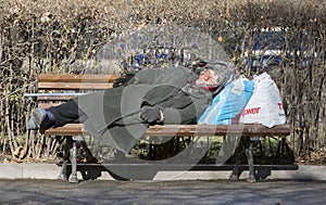 Homeless woman sleeping on a bench