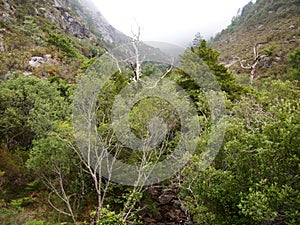 Valley of the Homem river, Peneda-GerÃÂªs national park in northern Portugal photo