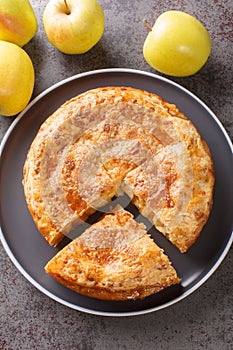 Homemade apple cheese pie with crispy butter crust close-up on a plate. Vertical top view