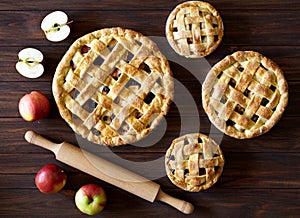 Homemade Apple pie pastry with raisins and cinnamon bakery products on wooden background texture. Top view. Traditional