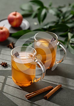 Homemade apple punch with fresh apples, cinnamon and spices in cups on a green background with fresh fruits, branch and morning